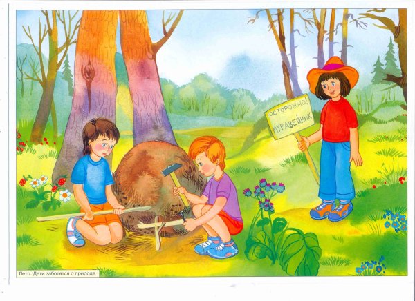 Лето иллюстрация для детей