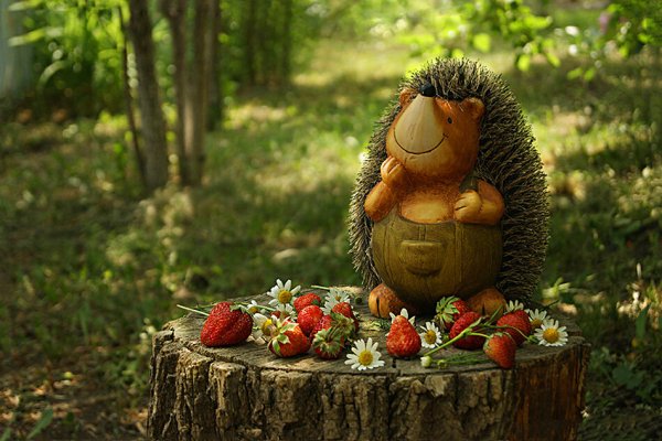 Радость животных