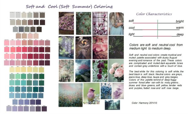Мягкое лето цветотип Color Harmony