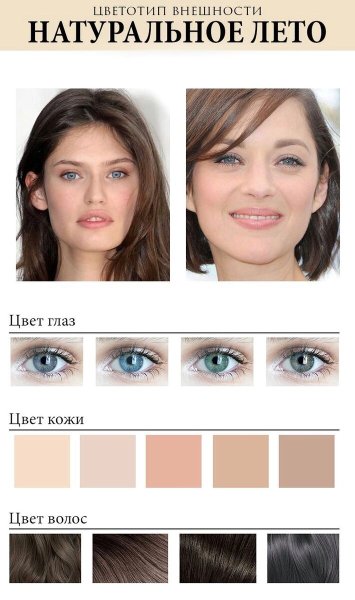 Цветотип лето макияж палитра