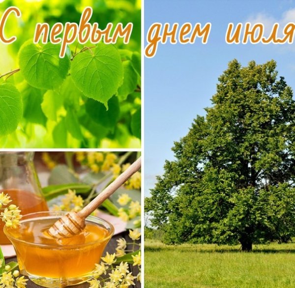 Поздравление с первым днем июля