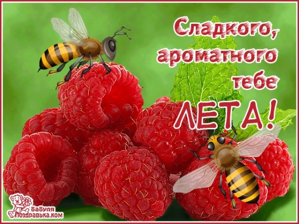 Поздравление с июлем месяцем