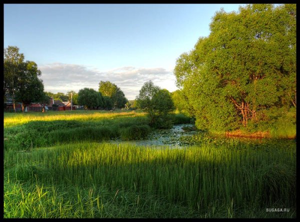 Месяц июнь пейзаж