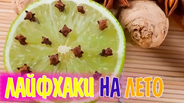 Лайфхаки летом