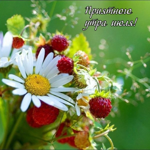 Привет июль