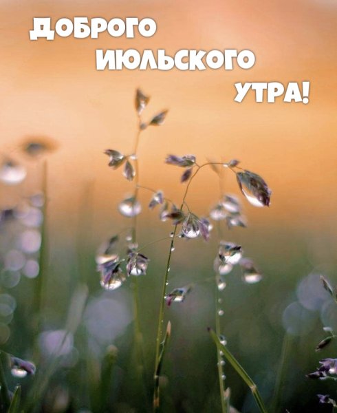 Доброе утро лето август