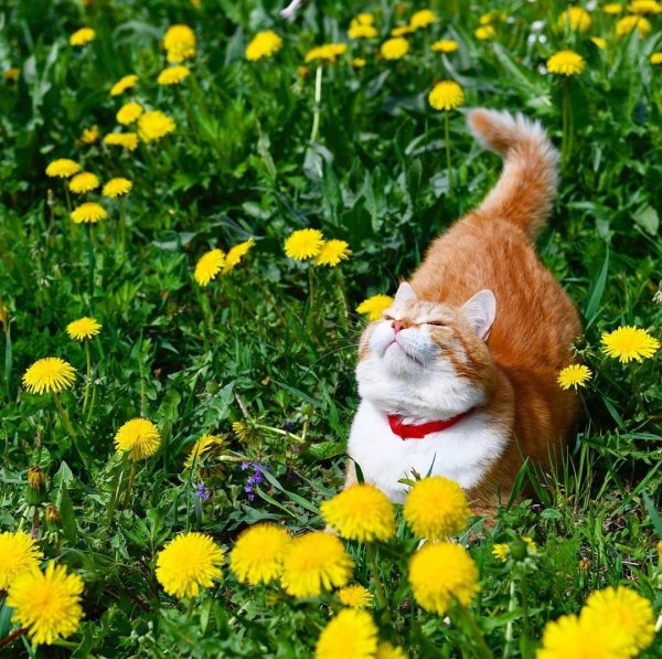 Выходные лето