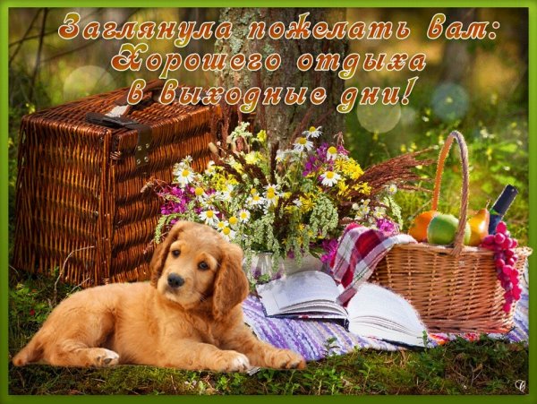 Солнечных выходных и хорошего настроения