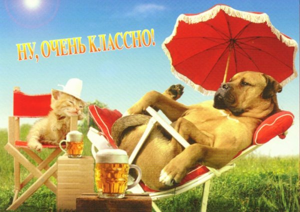 День отдыха от праздников