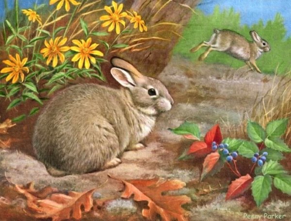 Заяц в осеннем лесу