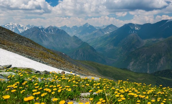 Альпийские Луга Тянь Шаня