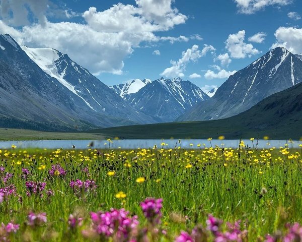 Алтая горный Алтай