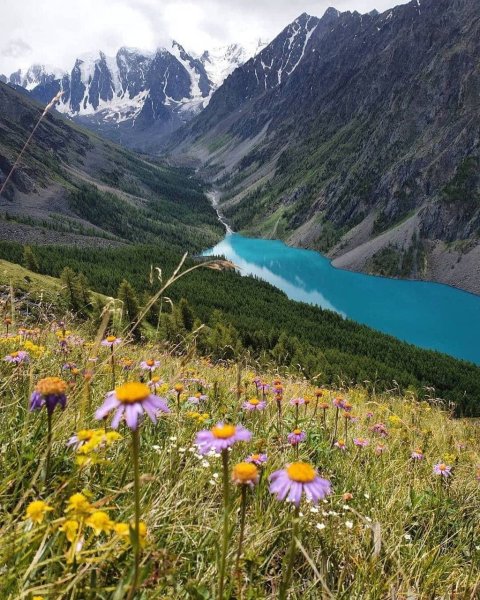 Горно Алтайск природа