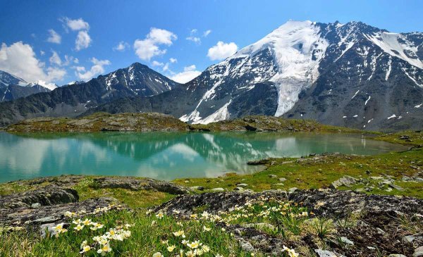 Альпийские Луга Горная Шория