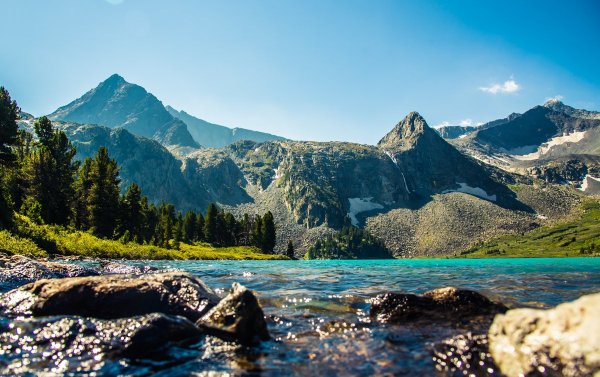 Гора Белуха горный Алтай Цветущий