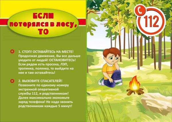 Безопасность в лесу для дошкольников