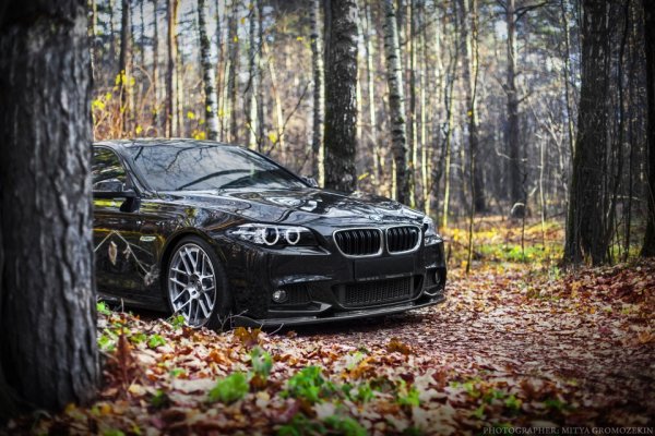 БМВ х6 в лесу