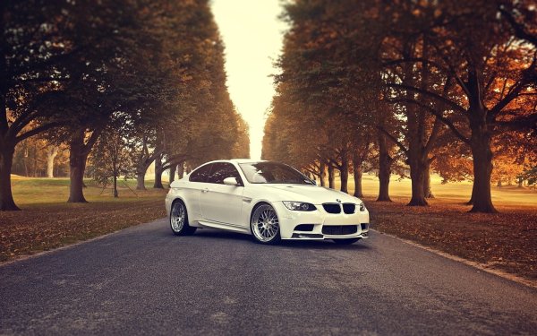 BMW f10 белая в лесу