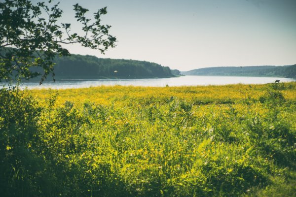 Западная Сибирь лето