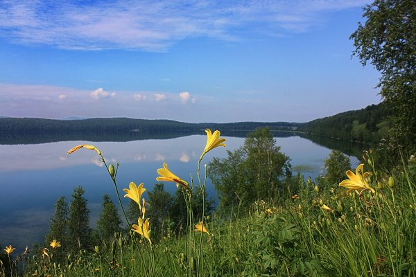 Оз Инголь Шарыповский район