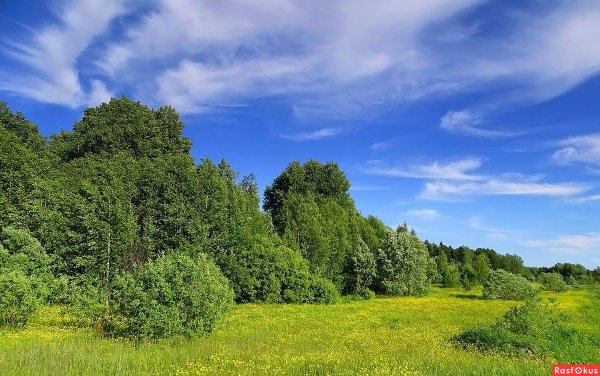 Лето в Сибири