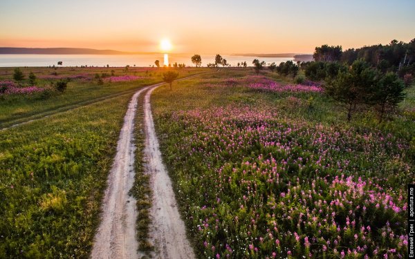 Природа России