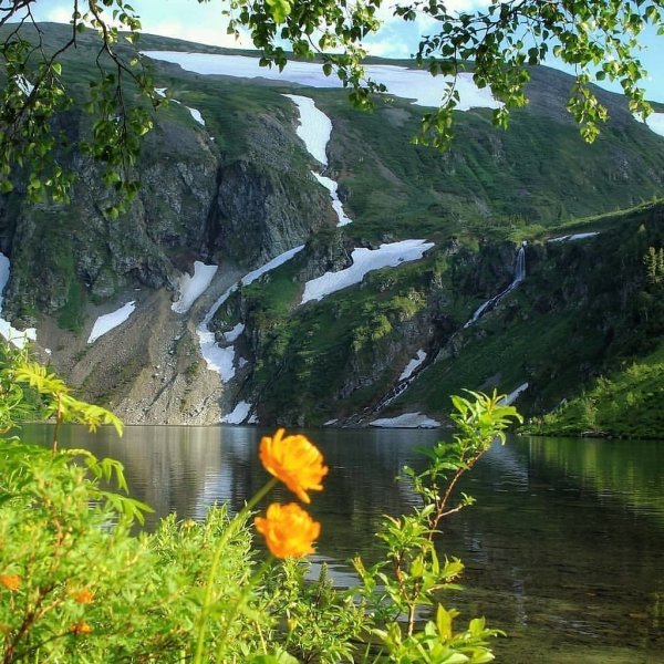 Тайга Ергаки