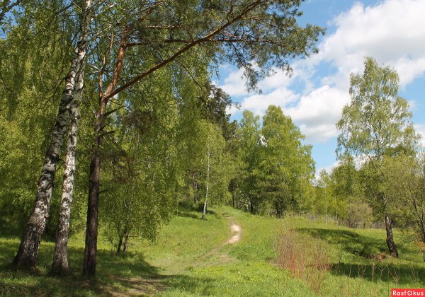 Ергаки национальный парк цветы