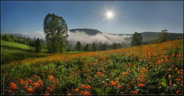 Лето в Сибири