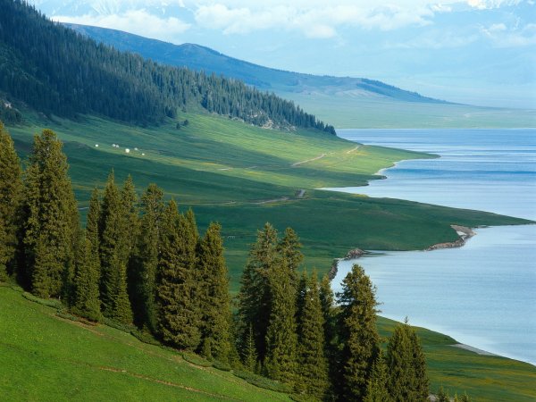 Природа Сибири