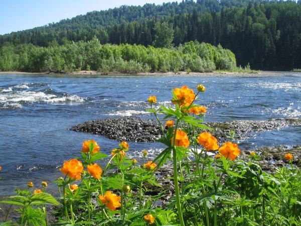 Сибирь летом фото