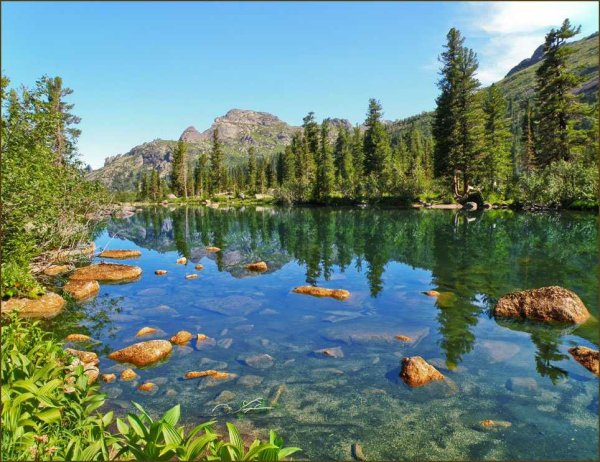 Озеро Байкал Тайга