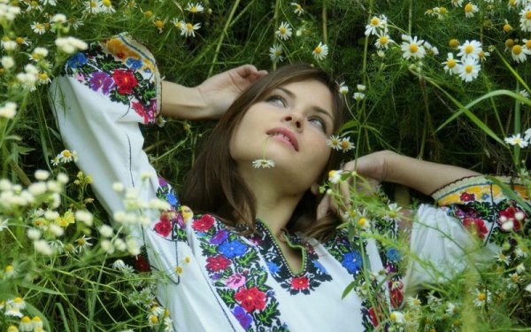 Чорнобривці насіяла мати Козловський