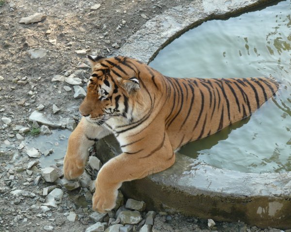 Про жару прикольные цитаты