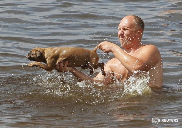 Жарко прикол