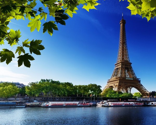 Ночной парк Санкт-Петербург