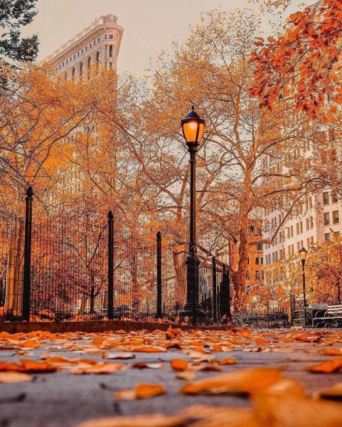 Красивая Весна в городе