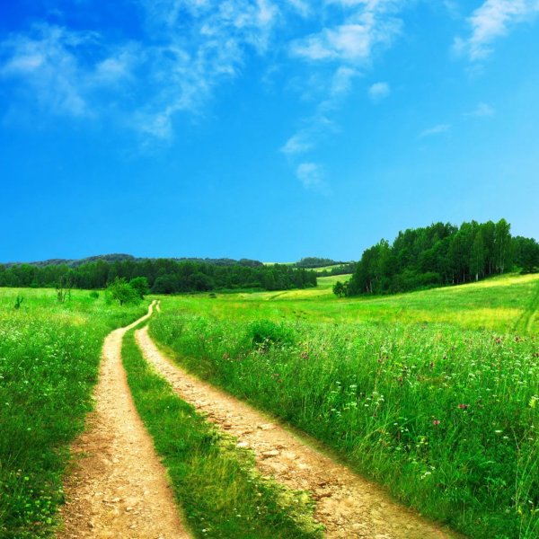 Мостик на озере