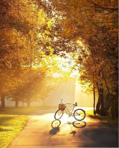 Деревенский дом лавочка деревня река