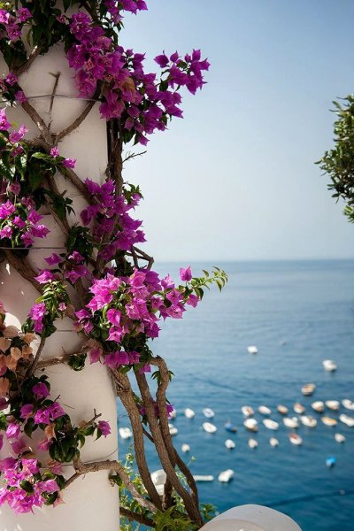 Лос Анджелес Калифорния пальмы