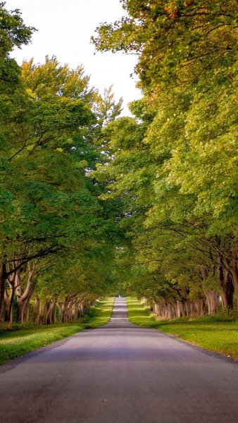 Эйфелева башня 4k