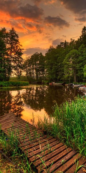 Центральный парк Нью-Йорк летом