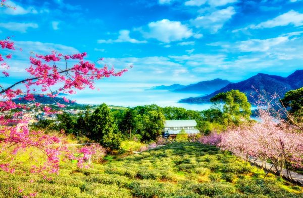 Япония гора Фудзи храм