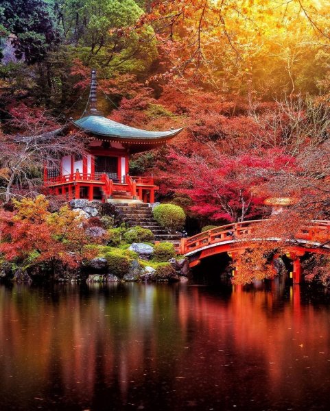 Лето на китайском