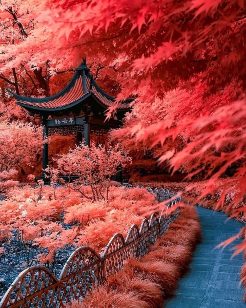 Природа Китая