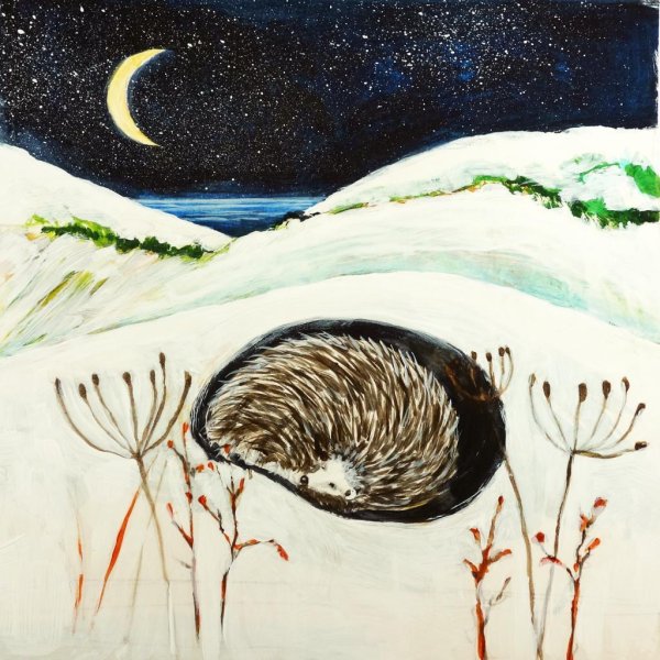 Еж в спячке