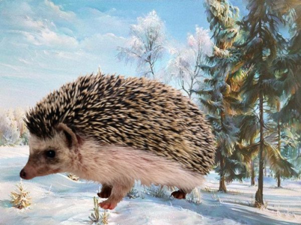 Ежик в зимнем лесу