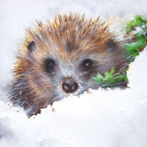 Ежик зимой