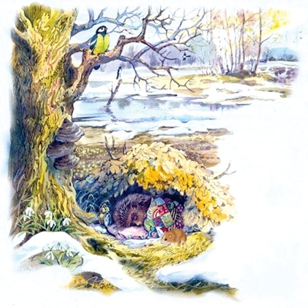 Ежик спит зимой