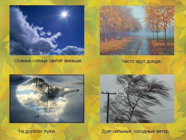 Явления природы осенью для дошкольников